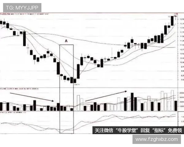 南京篮球队战术解析：从进攻到防守的全面剖析与实战应用